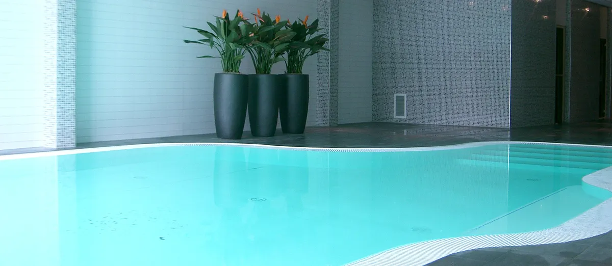 Zwembad met planten in vazen